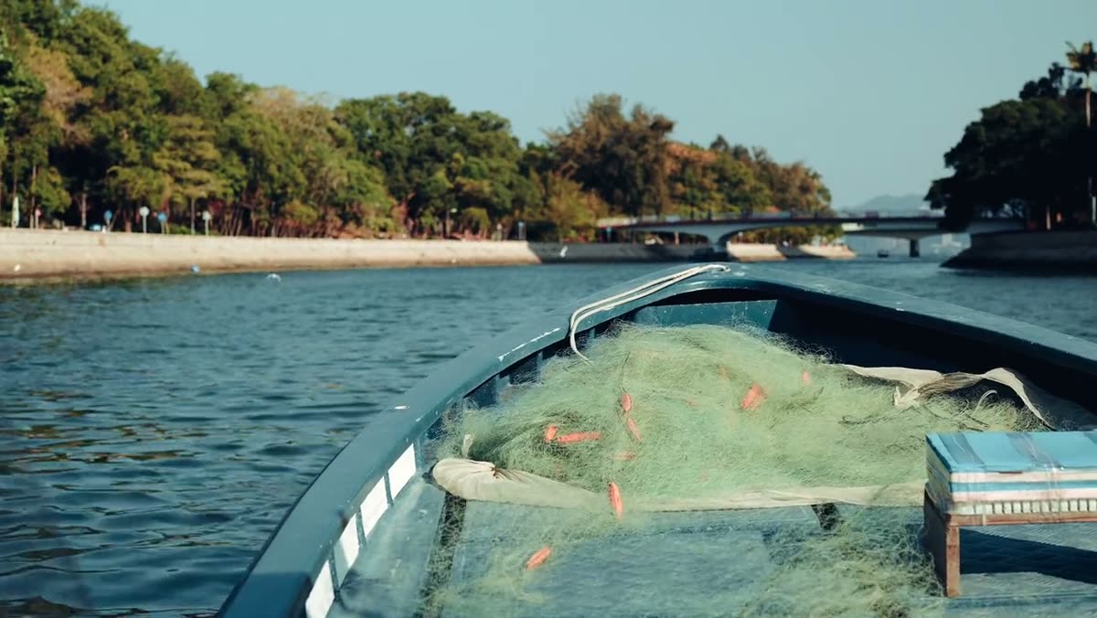 Nets and fish in the bottom of a small fishing boat.
