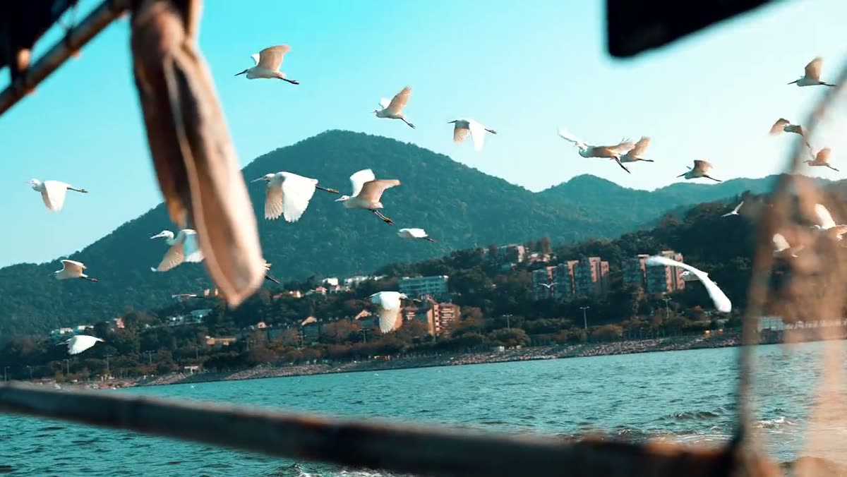 Egrets in flight seen through the frame of the boat's rigging.
