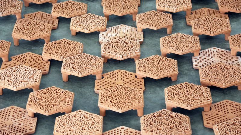3D printing to save Hong Kong’s coral — cnn international