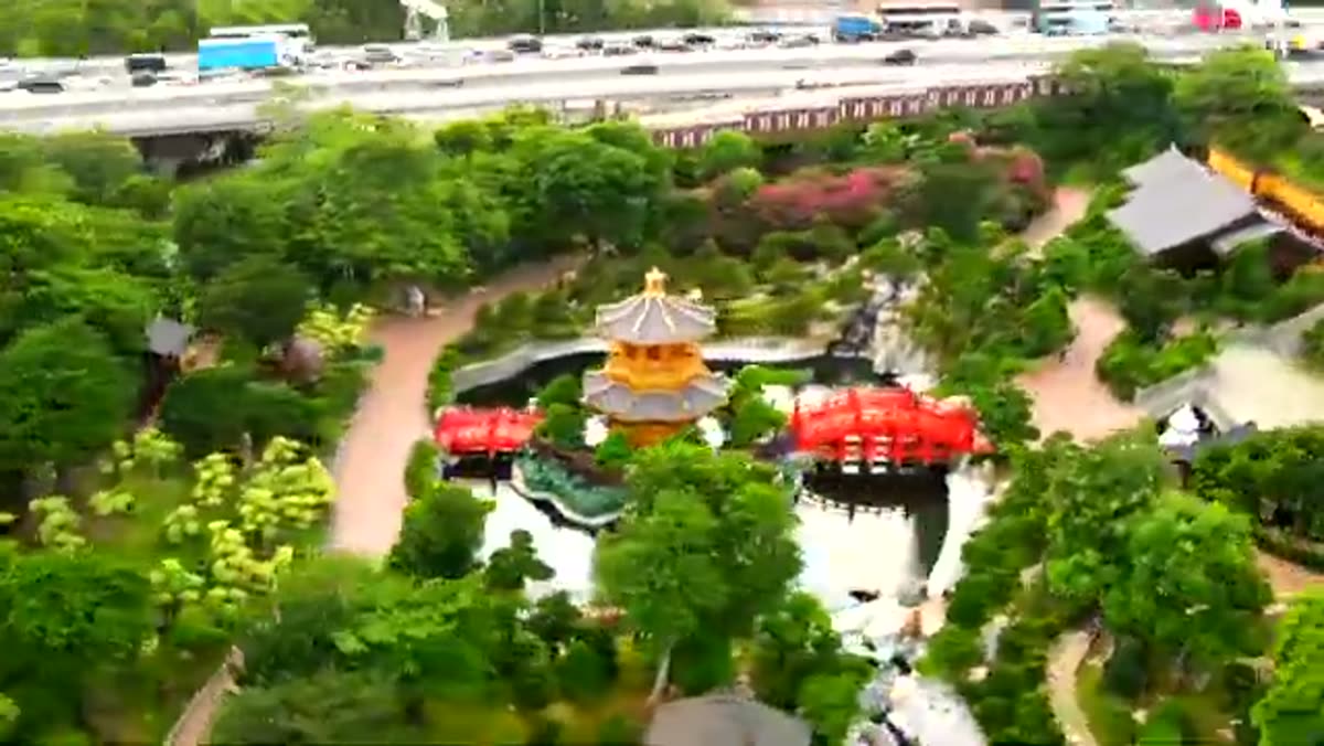 A garden from above, held inside the city.